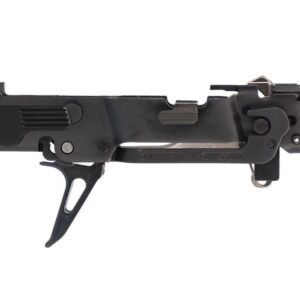Sig Sauer P320 Custom Works Fire Control Unit (FCU) stripped frame, black finish