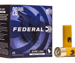 FED GMSHK 20GA 2 3/4" #8 25/250