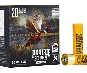 FED PR STORM 20GA 3" #5 LEAD 25/250