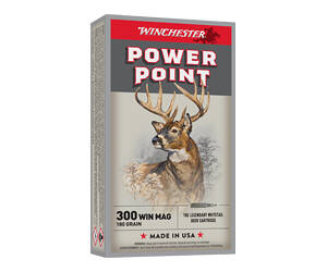 WIN SPRX PWR PNT 300WIN 180GR 20/200