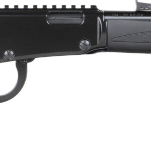 HEN X MODEL LVR 22WMR