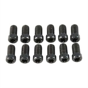 TORX HEAD RING SCREWS, 8-40 THREAD, .280'' LENGTH, BLUE