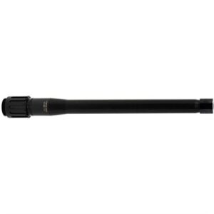 8.6 BLACKOUT 12'' 1-3 TWIST MODIFIED LIGHT PALMA REMAGE BBL